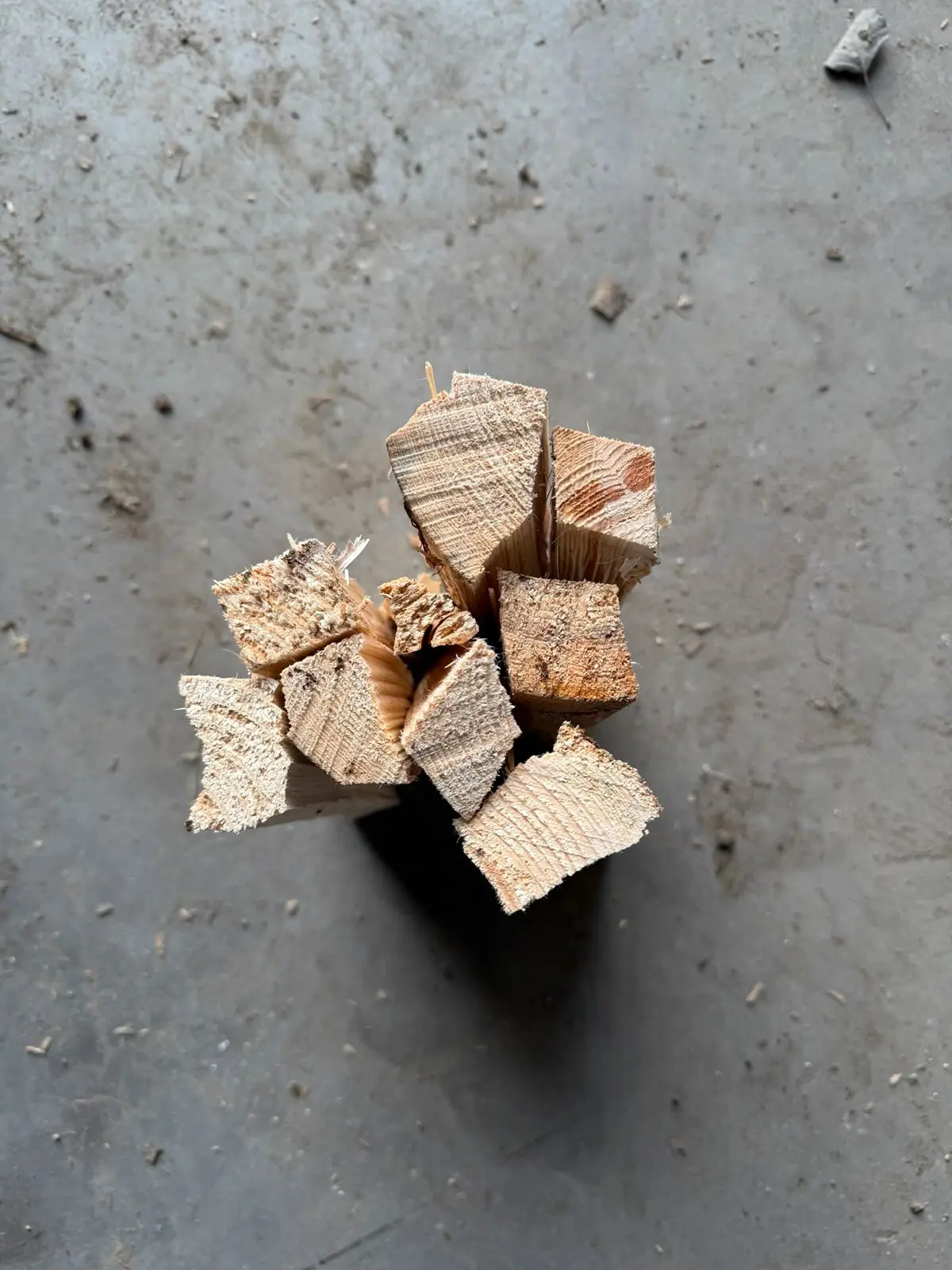 Bündel Anzündholz aus Buche