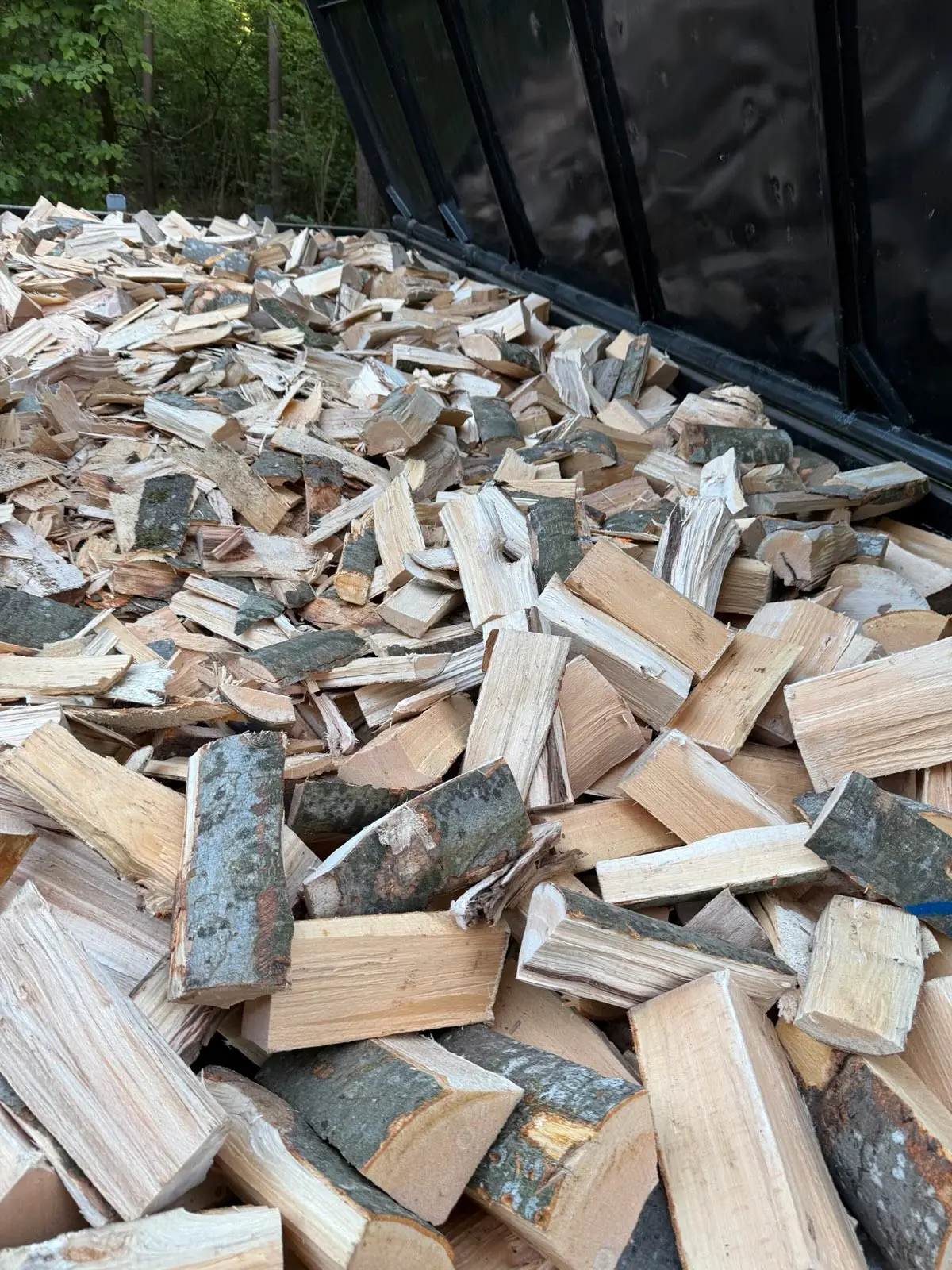 Frisch gespaltene Scheite im Container