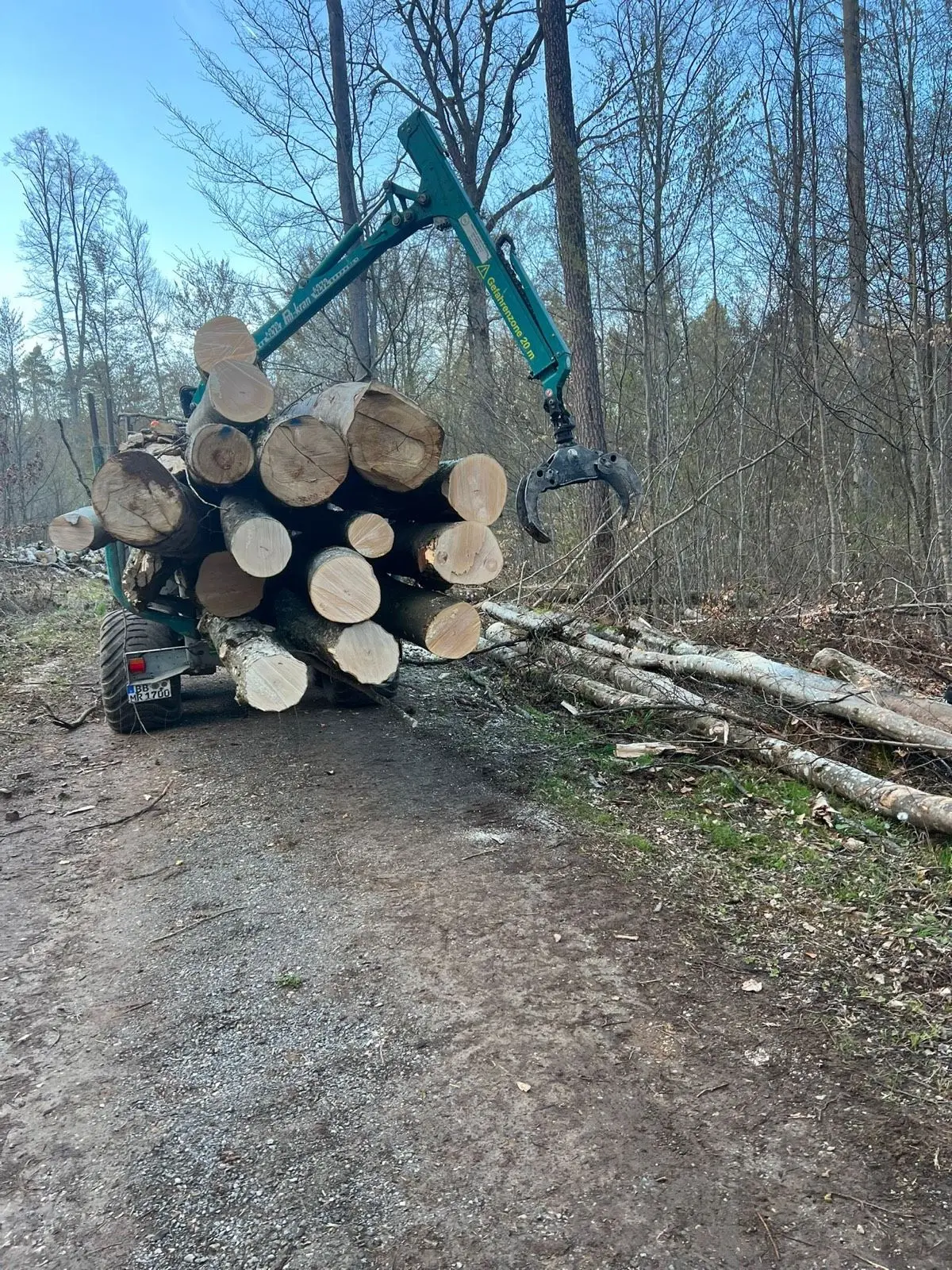 Kran des Rückewagens greift einen Stamm