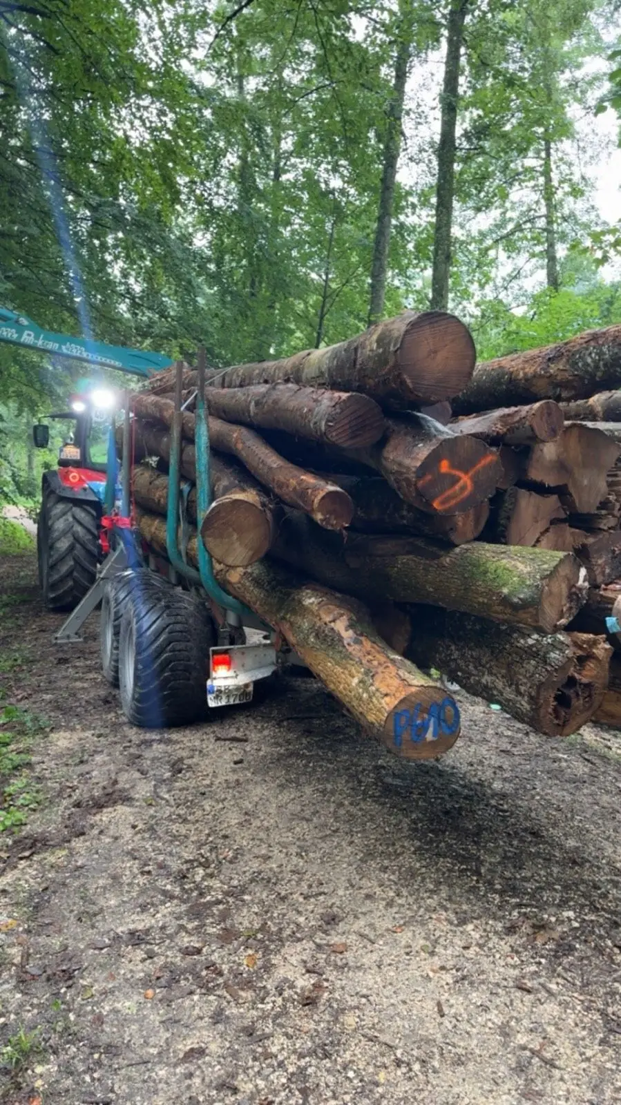 Beladener Rückewagen im Wald