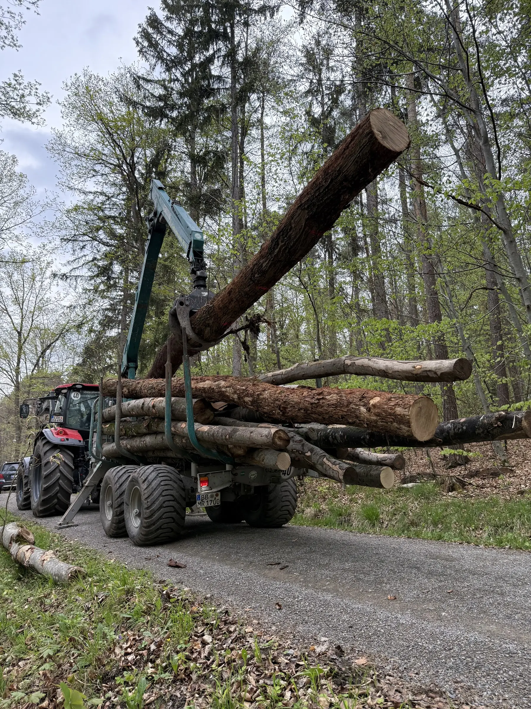 Kran des Rückewagens hebt einen Stamm im Wald